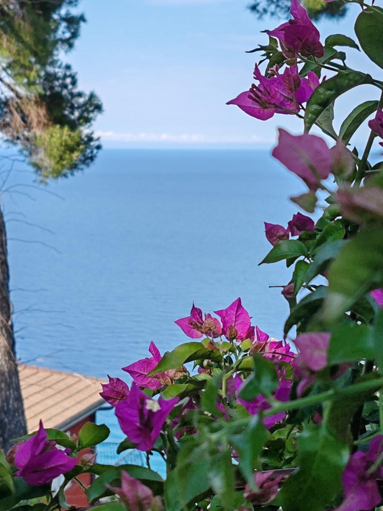 Appartamento Vista Mare 알벤가 외부 사진